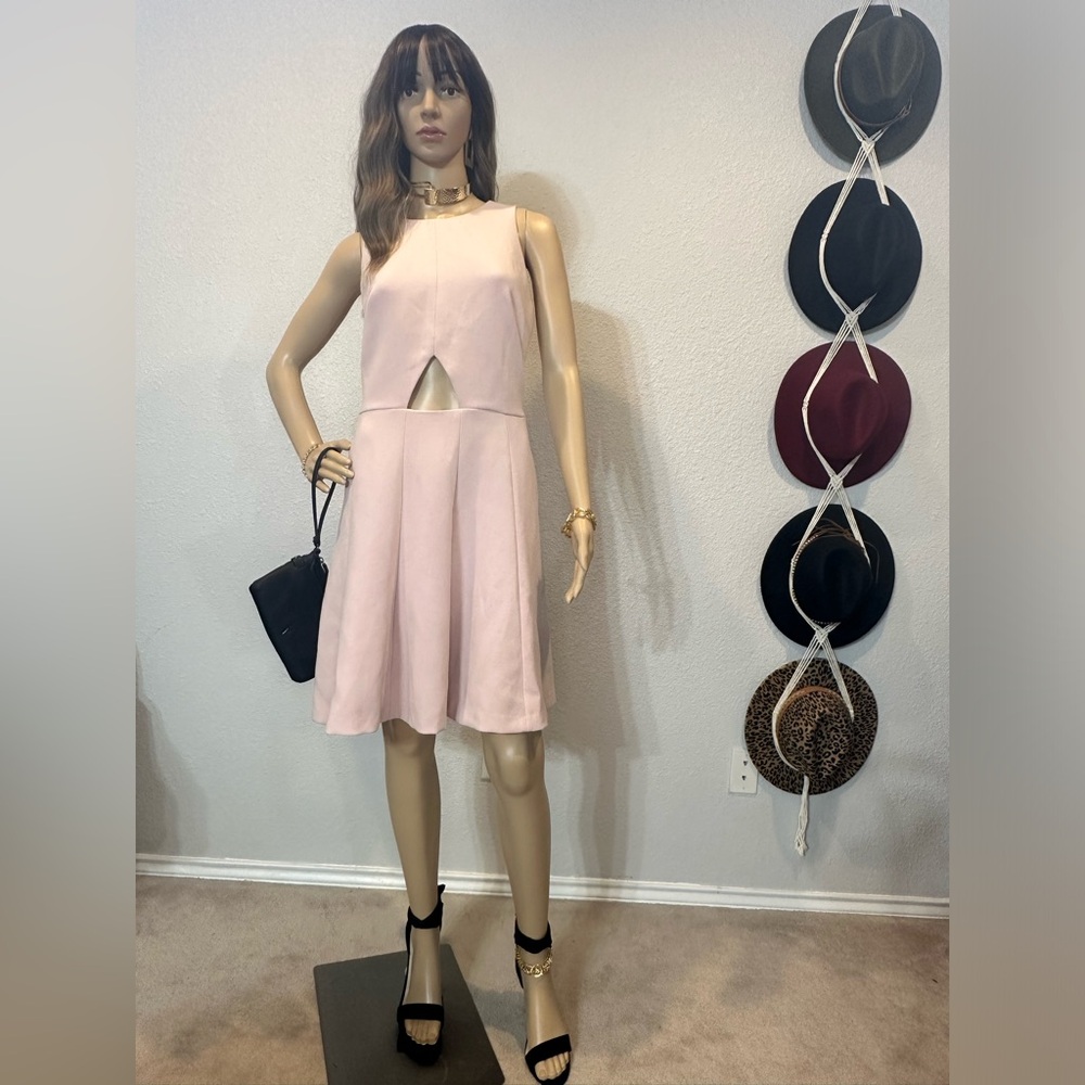 Club Monaco Lily Dress Dusty Mauve Crème MSRP $199